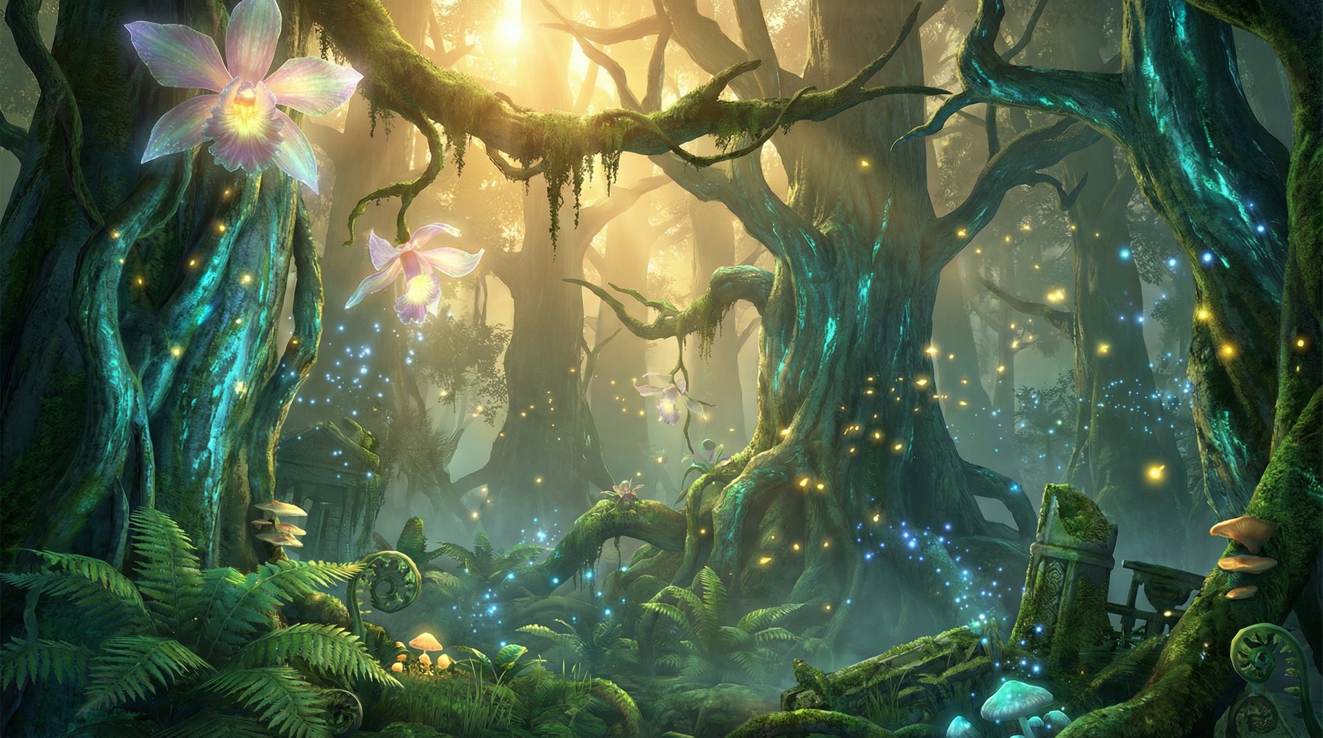 小蓝视频天山雪岭云杉探秘植物视频